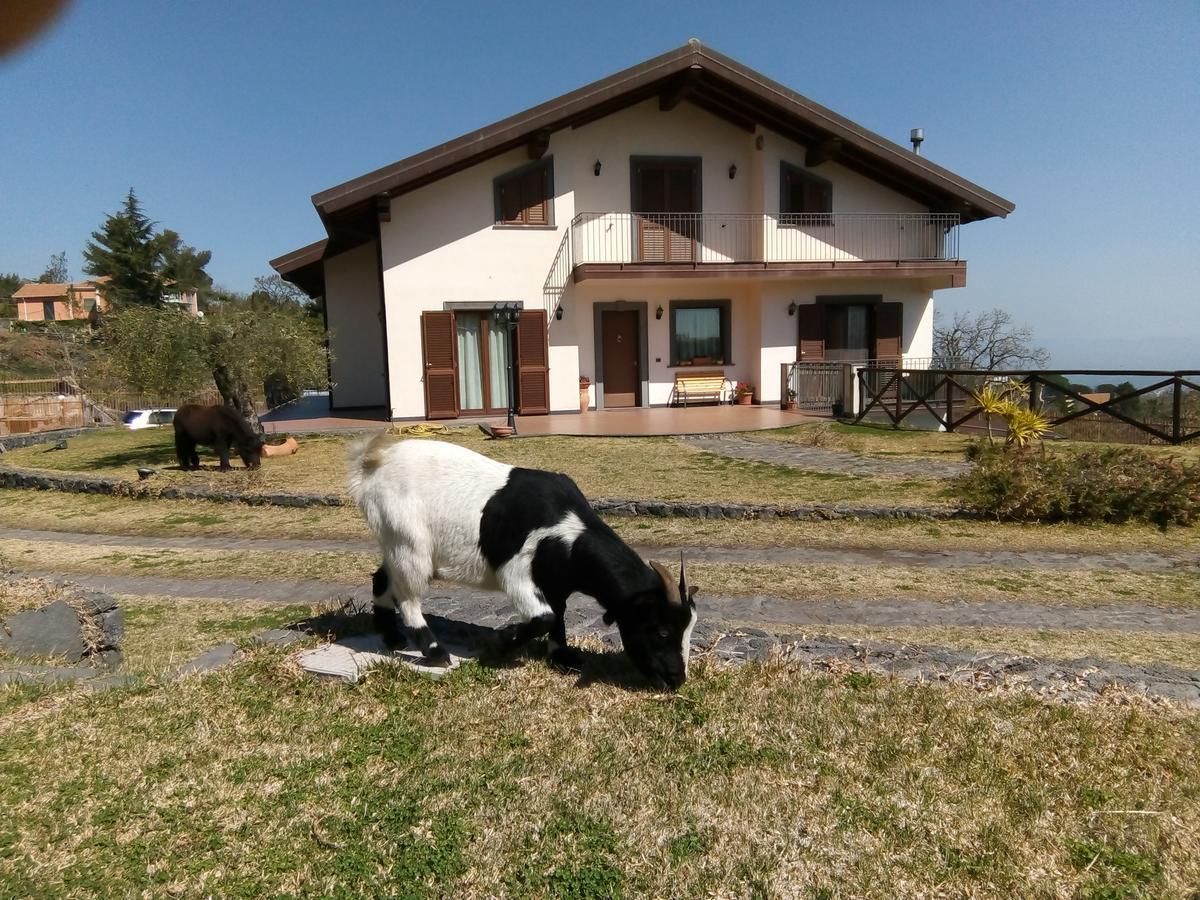 Aurora Dell'Etna Bed & Breakfast Zafferana Etnea Eksteriør bilde